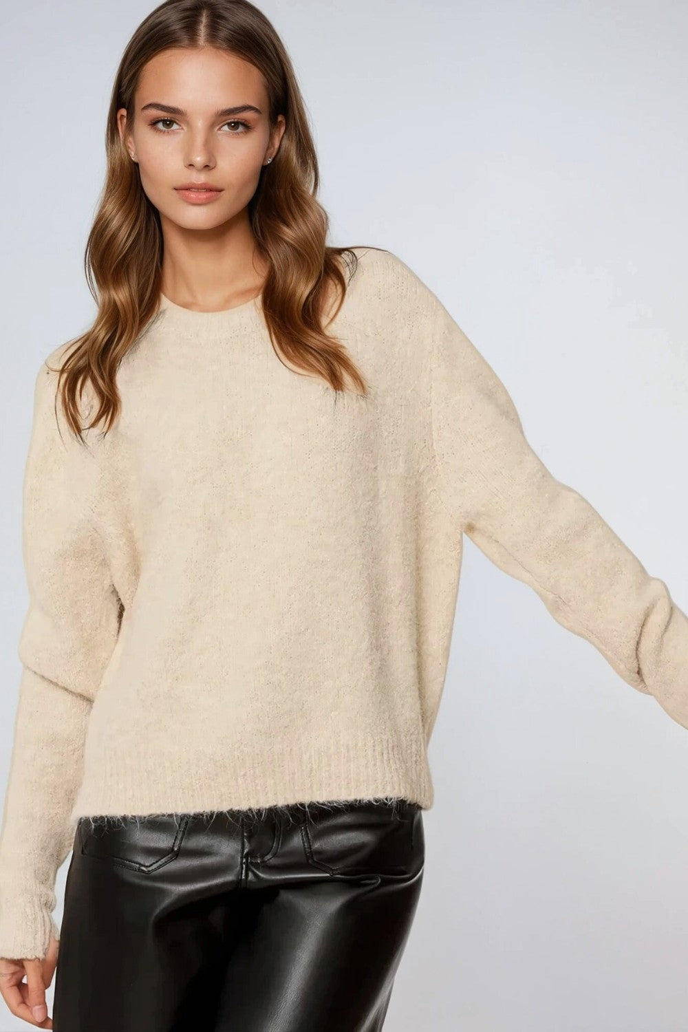 standard fit soft knit sweater in beige