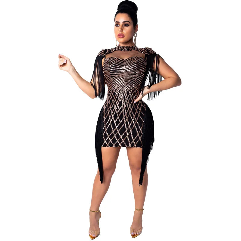 UNIKCOSA Women’s Sequin Mesh Bodycon Dress – One-Piece Sexy Nightclub & Party Dress (High-Quality Edition)