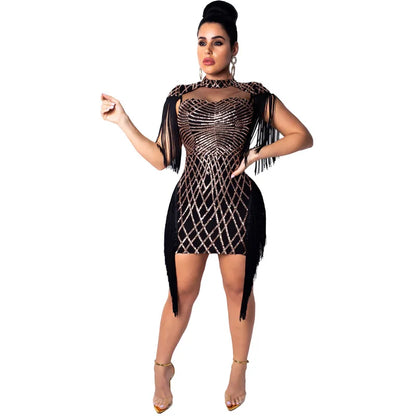 UNIKCOSA Women’s Sequin Mesh Bodycon Dress – One-Piece Sexy Nightclub & Party Dress (High-Quality Edition)