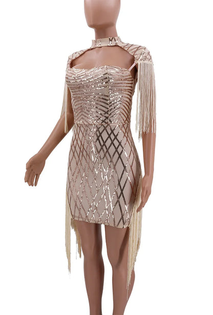 UNIKCOSA Women’s Sequin Mesh Bodycon Dress – One-Piece Sexy Nightclub & Party Dress (High-Quality Edition)