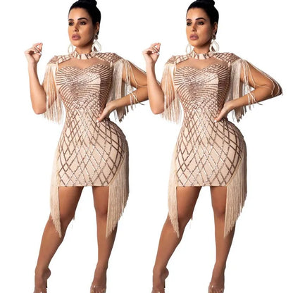 UNIKCOSA Women’s Sequin Mesh Bodycon Dress – One-Piece Sexy Nightclub & Party Dress (High-Quality Edition)