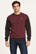 Bordeaux Cocoa sweatshirt, AI-generated front styling illustration