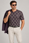 Aubergine Pistachio Arcade V-Neck Cotton T-Shirt by UNIKCOSA — dressed-up styling; AI-generated styling illustration.